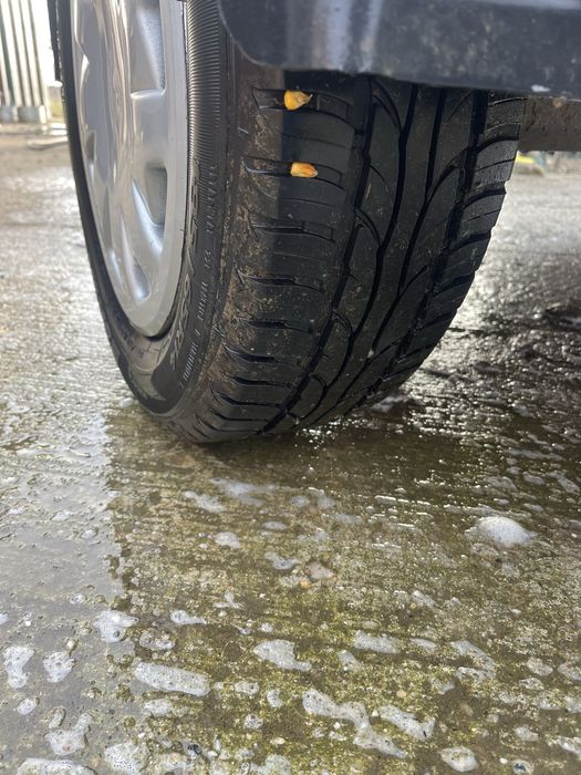 Remorca transport caini Wurz termico