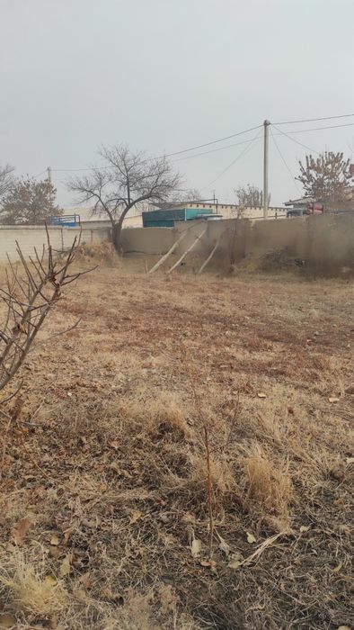 uydan 6 sotix boʻlib beriladi