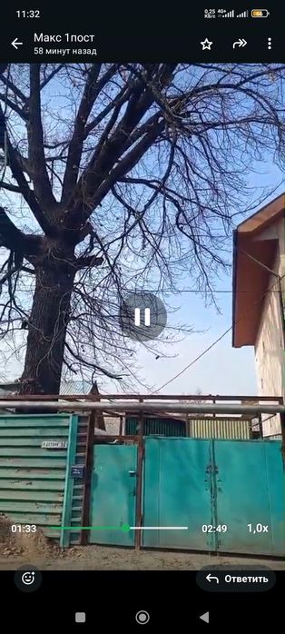 Продам дерево дуб