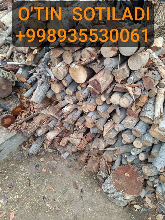 o'tin mevali   toshkent dastafka