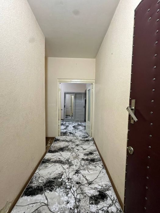 Срочно продаю 1 ком яккасарой