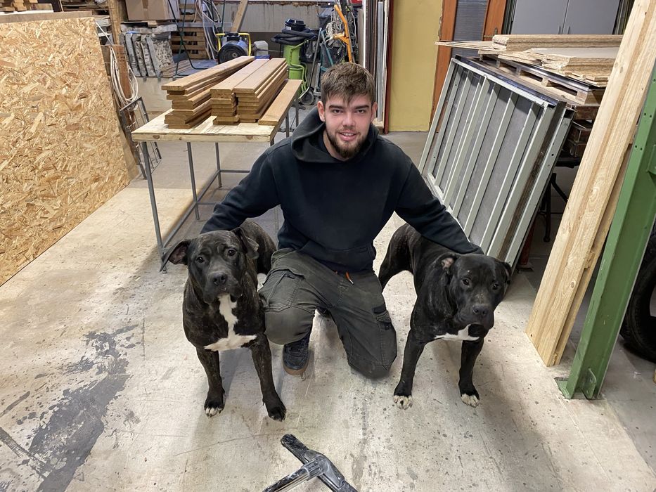 Donez catelusa jucausa  Presa Canario