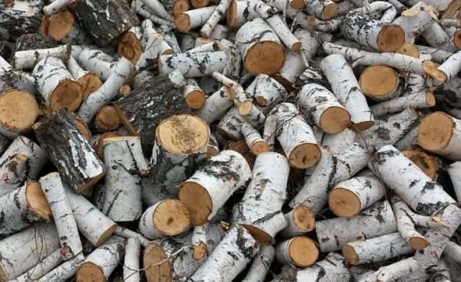 Продам Дрова Березы