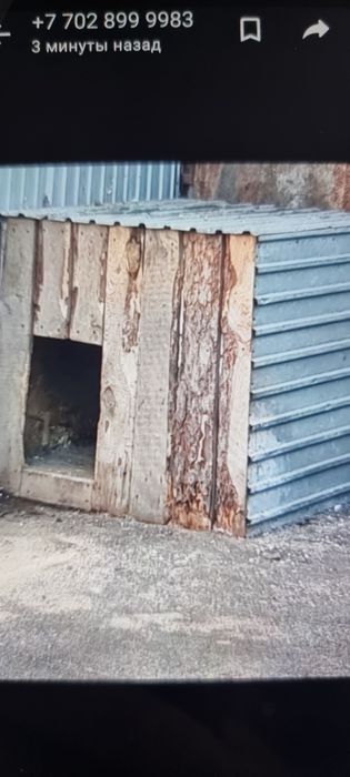 Домик для собаки