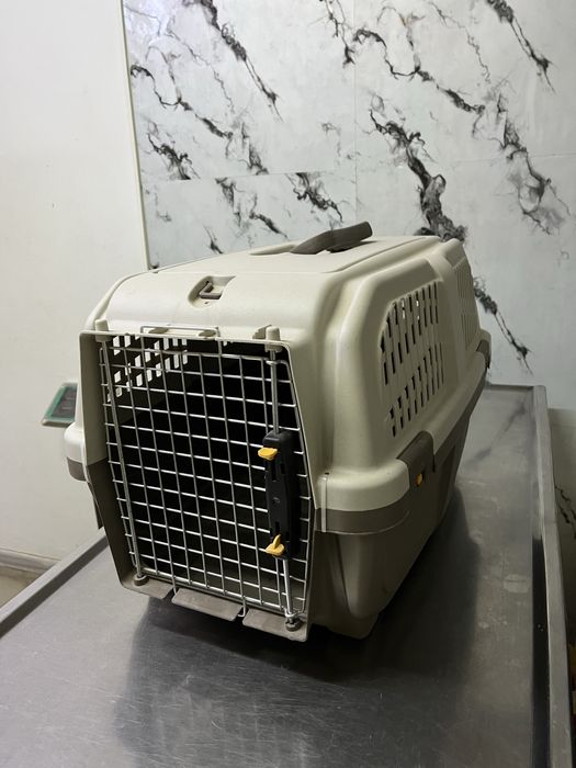 Новый Бокс для перевозки животных!