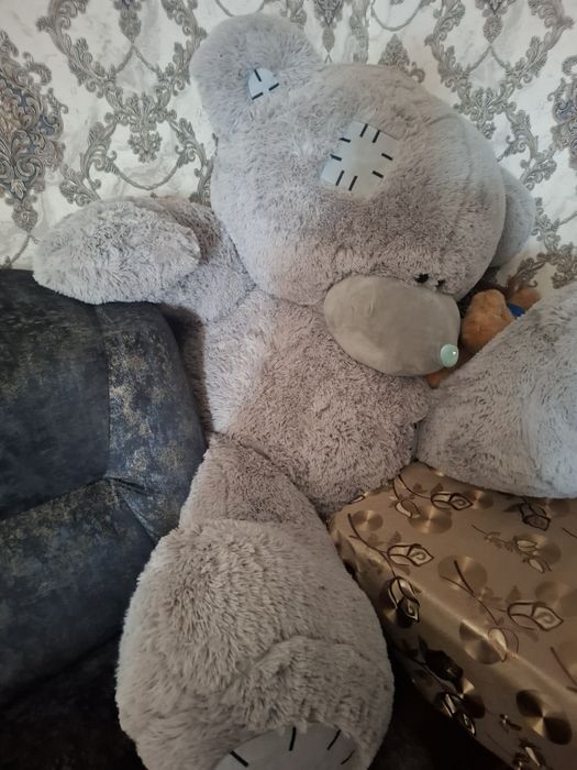 Teddy ayiq sotiladi buying 1.60m
