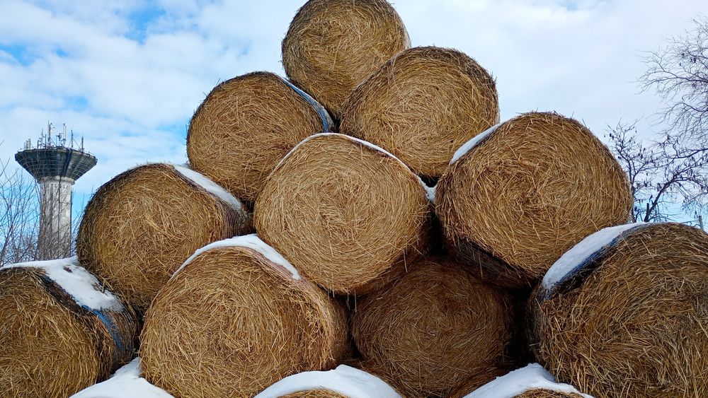 Vând sau schimb baloți de paie grau ovăs și orz amestec