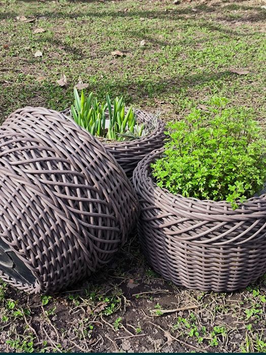 Кашпо из ротанга