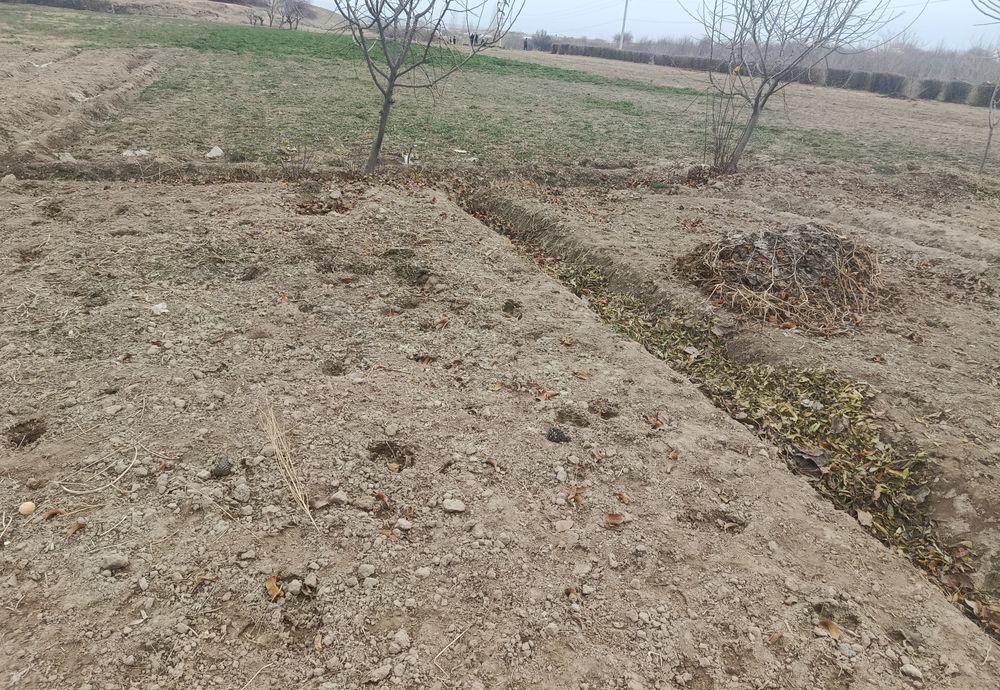 Uy hovli sotiladi katta tomorqasi bn