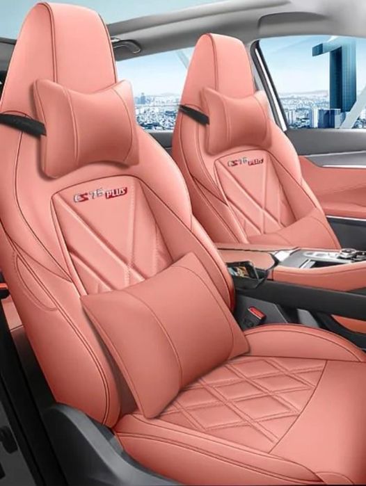 Чехол на Changa 55 plus