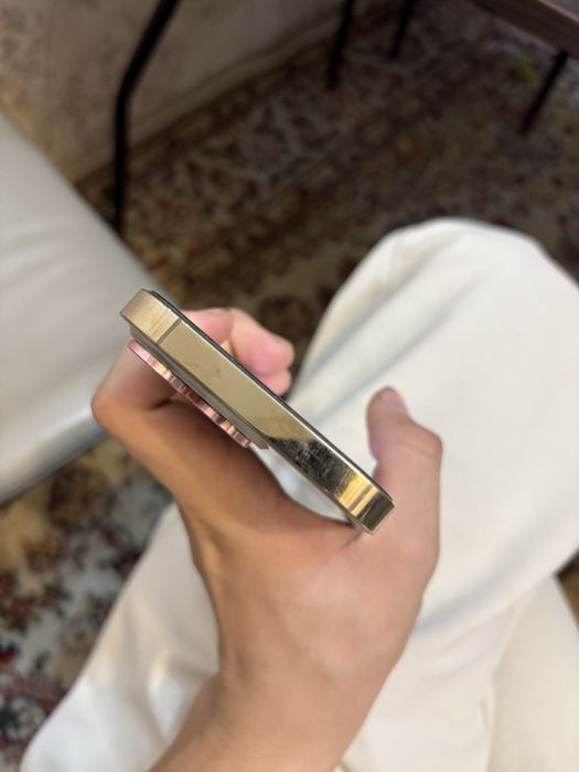 Iphone  13 Pro.