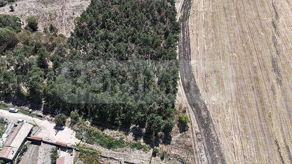 Продава се Къща в с. Горун, Област Добрич - 53 кв.м за 753 €/кв.м - Снимка #12