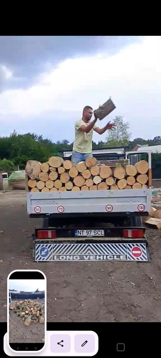 Vând lemne de fag și carpan