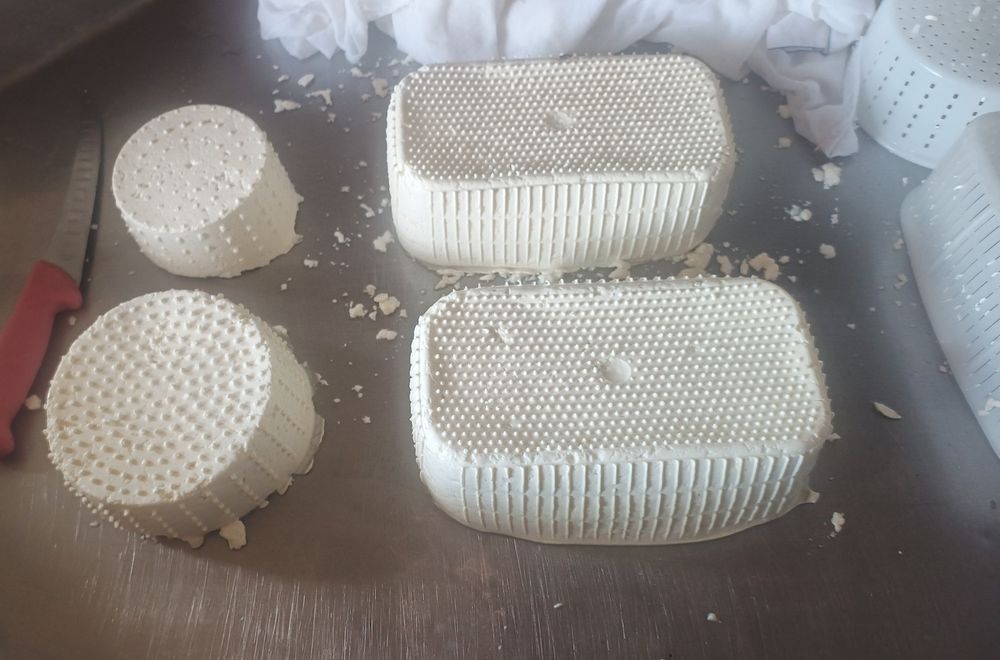 Brânză de văcuță