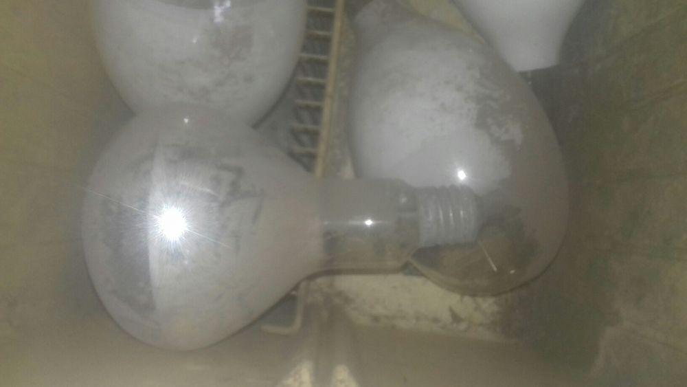 Фонарные  лампы не дорого