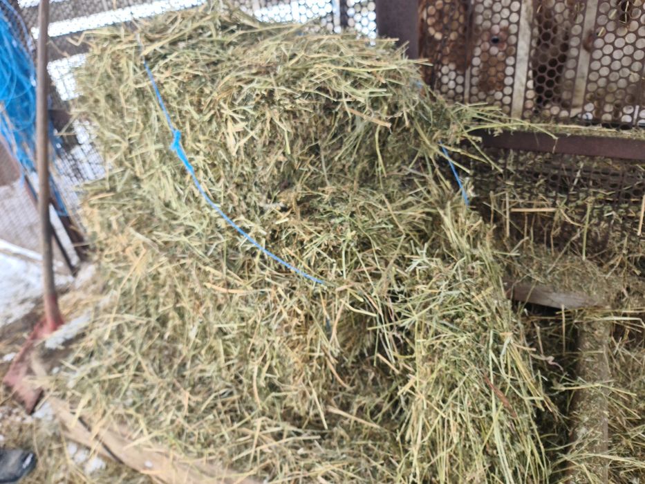 Vind baloti de lucerna