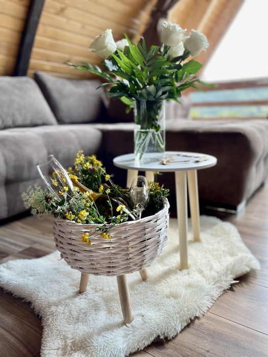 Cabana A-Frame PREMIUM  cu afacere la cheie Airbnb / Booking