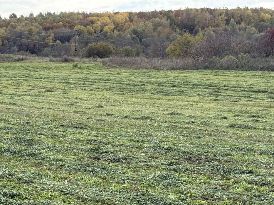 Baloti lucerna foliat