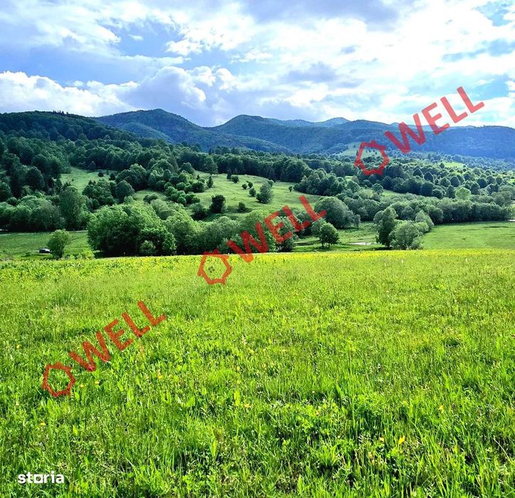 Teren extravilan de vânzare în Vama Buzăului!