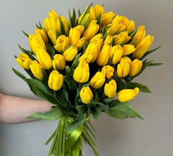 Тюльпаны оптом и в розницу
