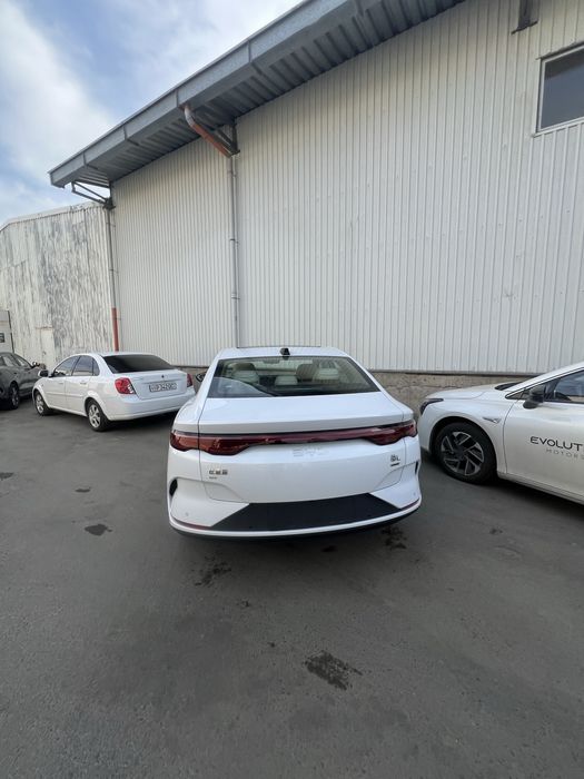 Byd Qin L oq rangi sotuvda