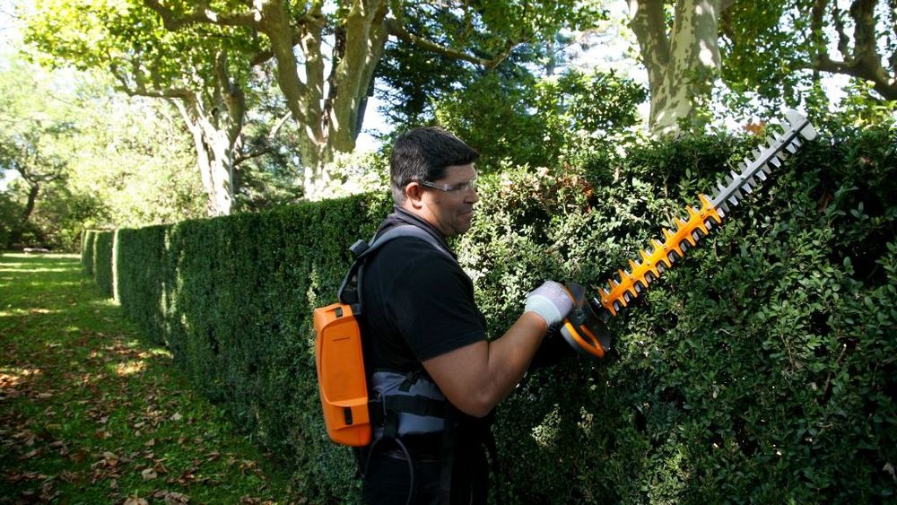 Аренда Кусторез Прокат Кустарез Дастафка есть 24.7