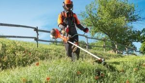 Косене на трева в градини,дворове,вили,парцели.Почистване и извозване.