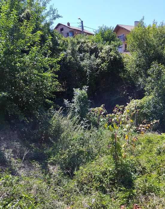 Продава се Парцел в Кюстендил, Център - 280 кв.м за 98 €/кв.м - Снимка #2