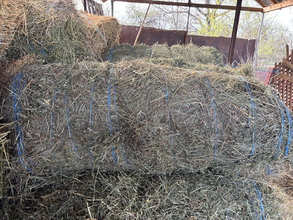 Baloti de otava 90/60