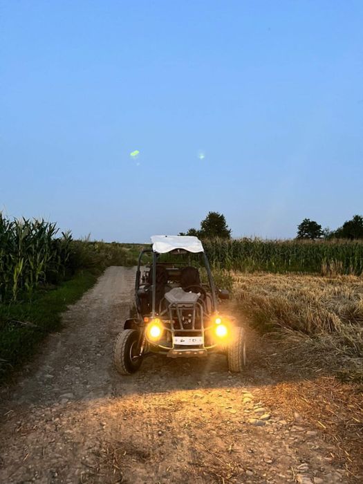 Vând sau schimb buggy