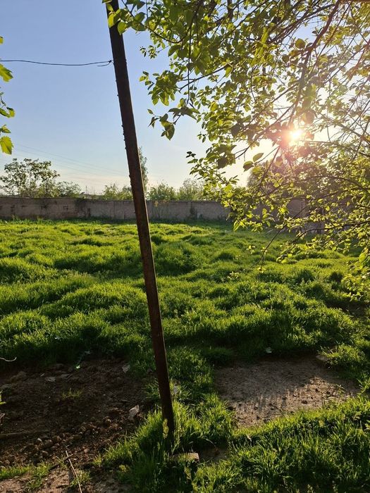 Продам дом в Селекции