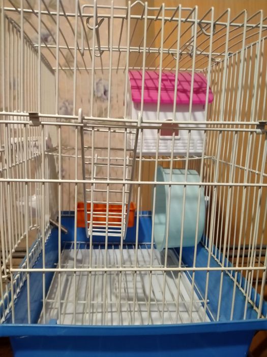 Продам клетку для хомяка 5000
