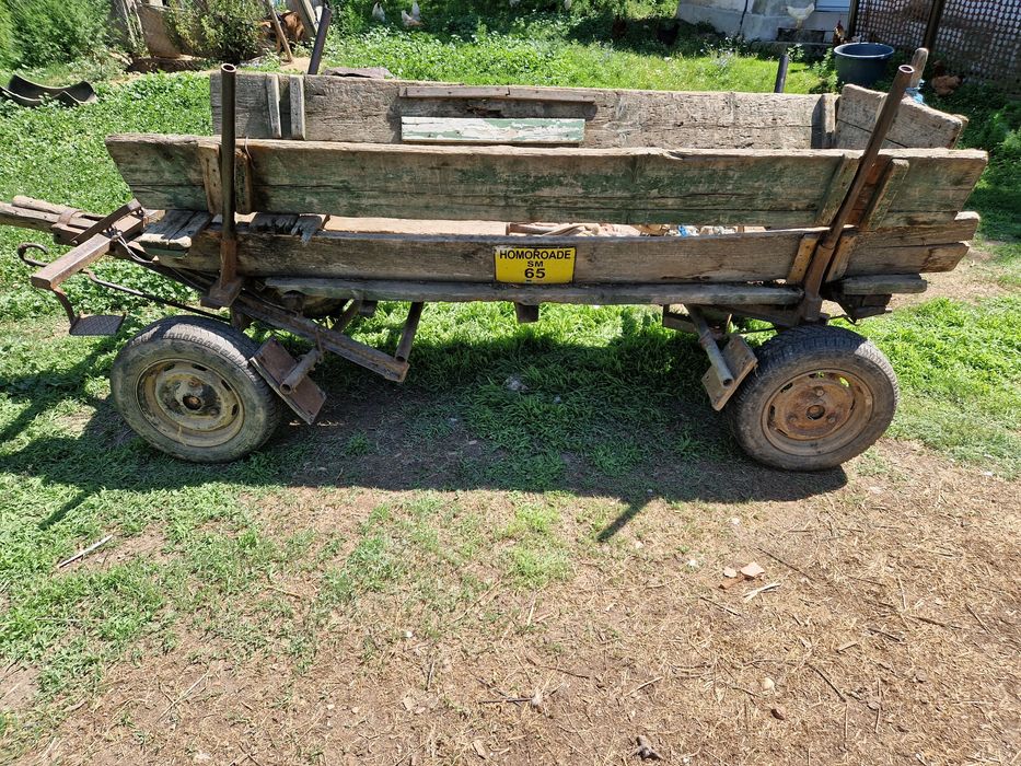 Căruță, straf pentru cai