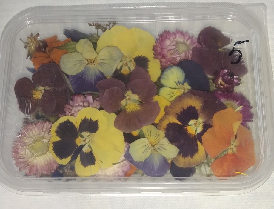 Набор сухоцветов для творчества.