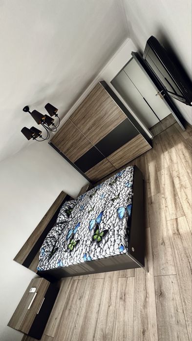 Chirie apartament 1 camera Lux, Nufarul