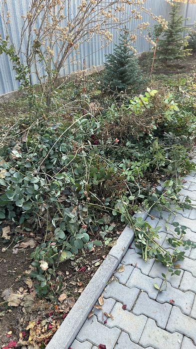 Вывоз мусора по городу газель доставка