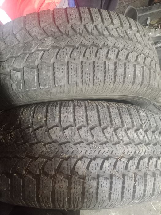 Продам резину Maxxis