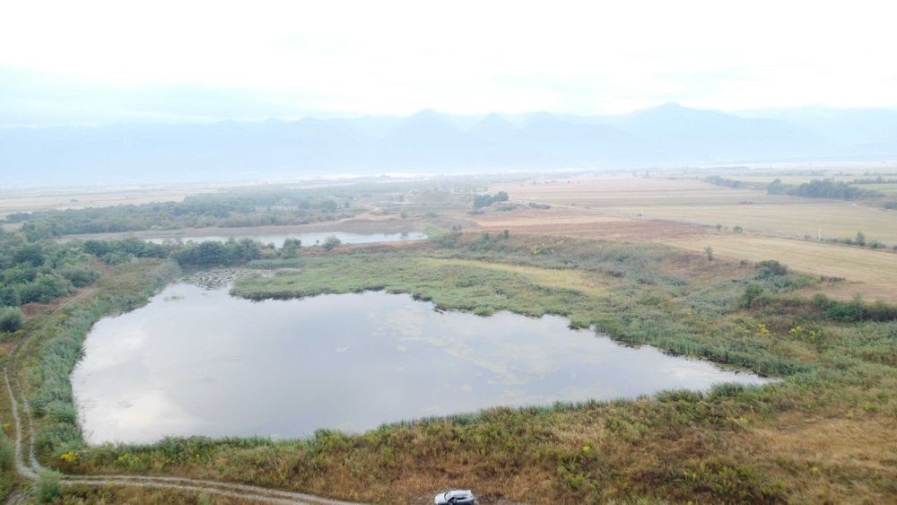 Teren 4,47 ha cu luciu de apă judetul Sibiu DN1/DN1C Cârţișoara Sibiu | Lac | Oportunitate investiție, camping, pescuit sau agrement.