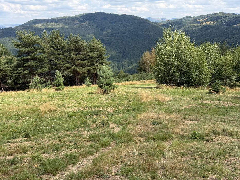 Teren în Damiș cu panoramă superbă spre Vlădeasa – altiudine 820 m, curent și apă la limită