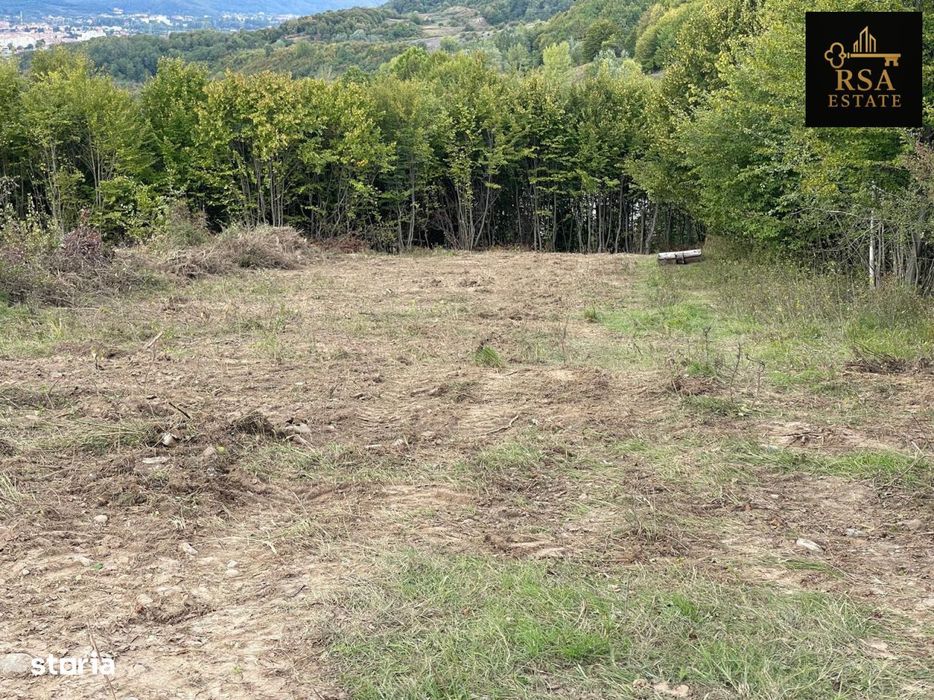 Teren 3000 mp de vanzare Budesti Racovita Valcea, panorama spectaculoa