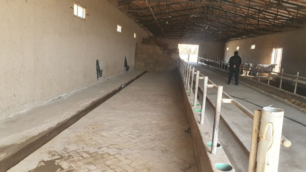 Ферма биноси сотилади.