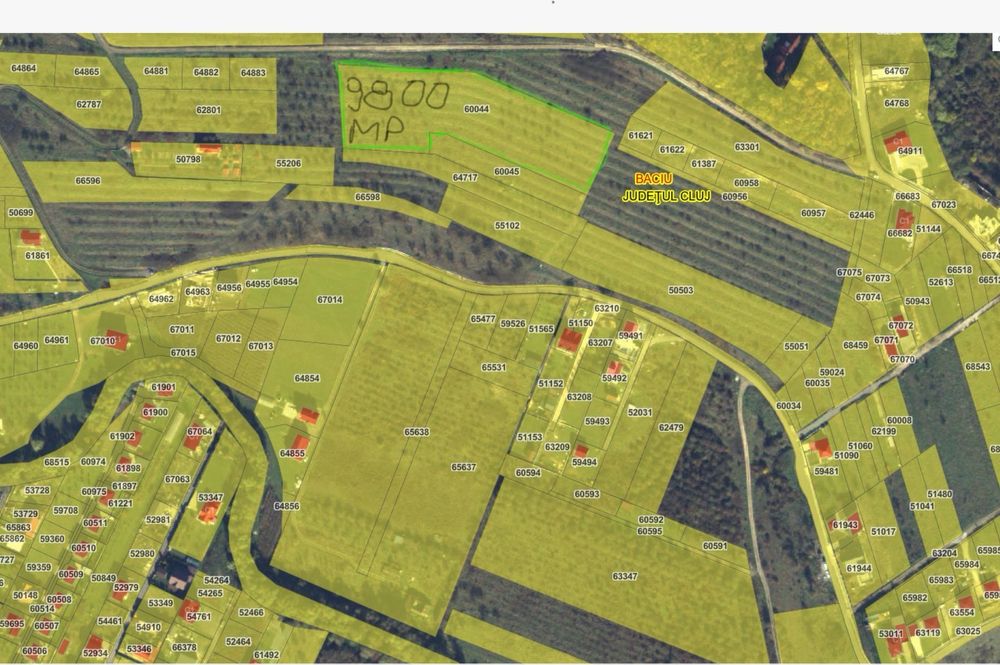 Vând teren/ livada Baciu