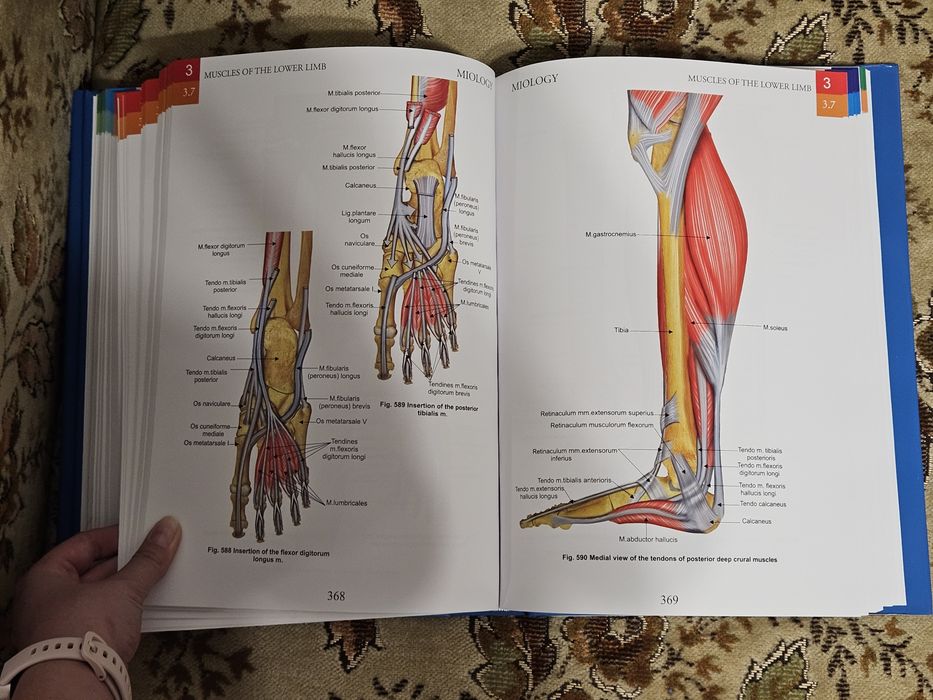 Atlase de anatomie Zanoschi
