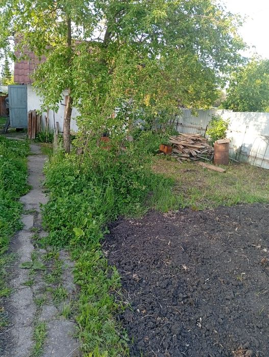 Продам дачу в новой-бухтарме