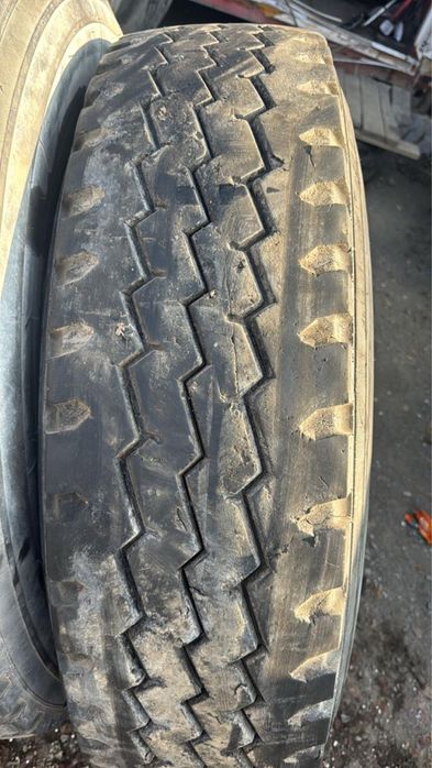 315 80  шина иропи