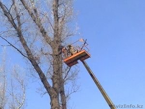 Спил деревьев любой сложности