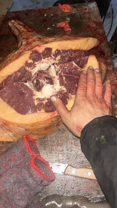 Продам соғым, байтал