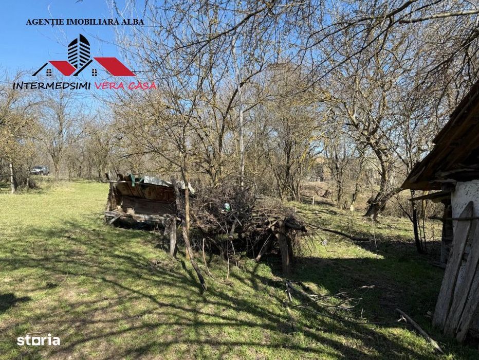 Casa si anexe cu un teren de 7701 mp de vanzare in Stauini  Jud Alba