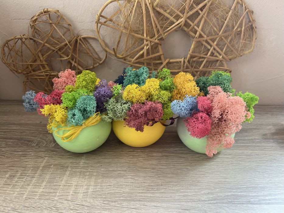 Кашпи със скандинавски мъх 8,50лв.