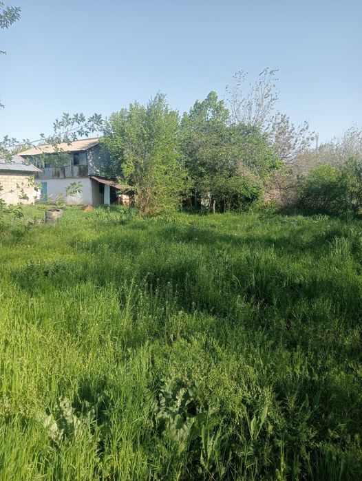 Продам 2 дома селекция